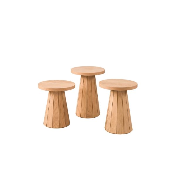 WORLD MEŞE MANTAR SEHPA